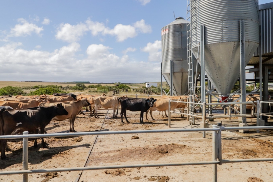 Commercial Property for Sale in Hartenbos Rural Western Cape